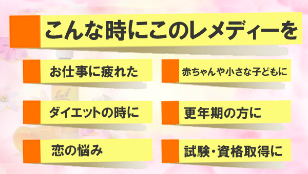 バッチフラワーレメディ, フラワーレメディ, バッチフラワーの使い方あれこれ